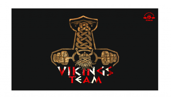 Banner VIKINGS TEAM